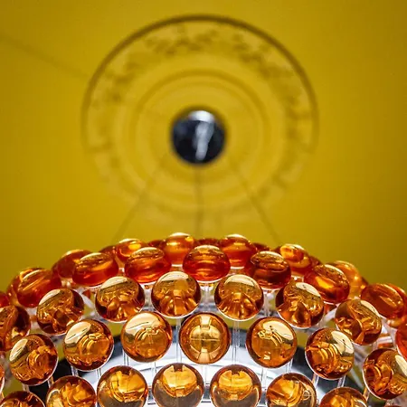 La Belle Jeannine - T2 40 M2 - Calme, Central, De Gamme, Equipe Dijon